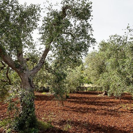 Villetta Da Zio Marcello Ostuni Luaran gambar