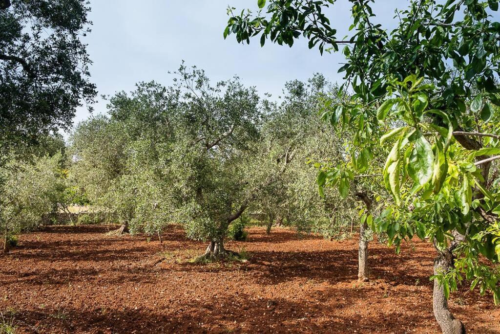 Villetta Da Zio Marcello Ostuni Luaran gambar